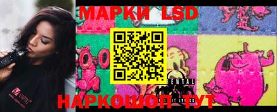 молекула духа Новокубанск