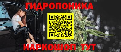 дживик Новозыбков