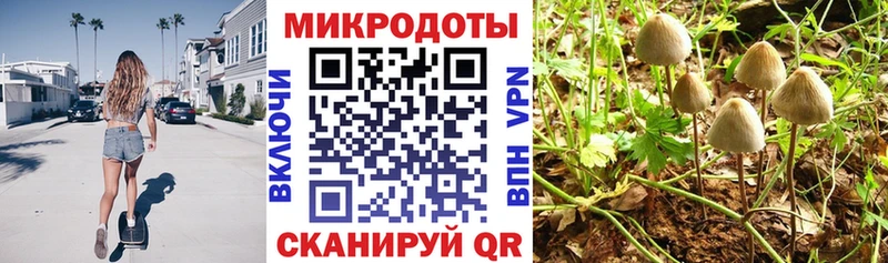 Псилоцибиновые грибы MAGIC MUSHROOMS купить наркотик Смоленск
