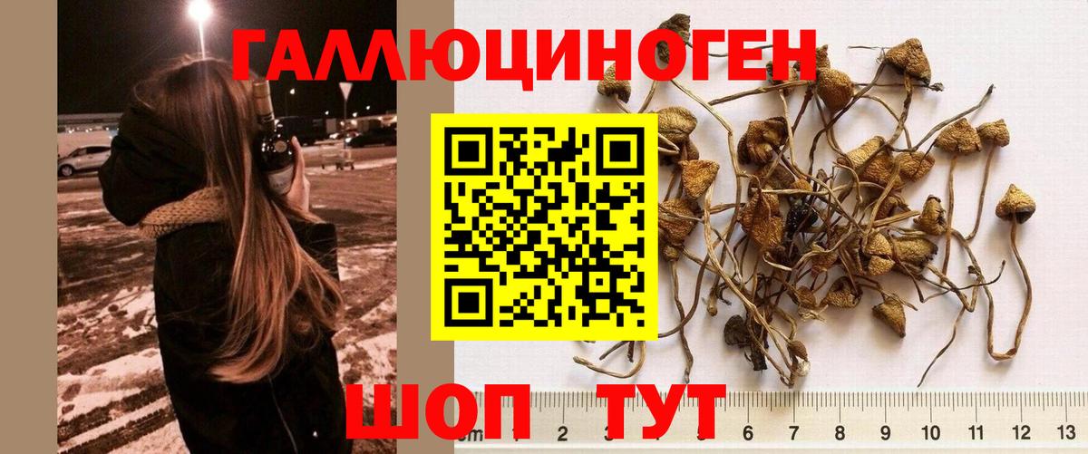 Псилоцибиновые грибы Magic Shrooms Смоленск