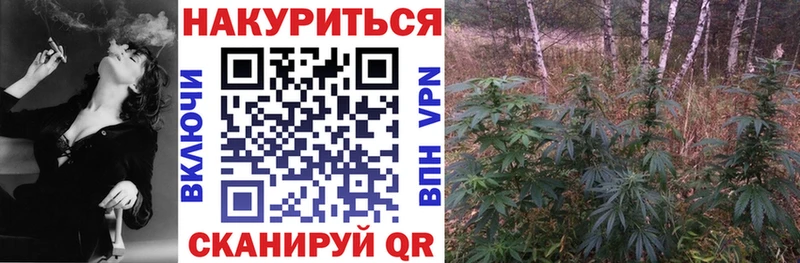 OMG   закладка  Смоленск  Канабис конопля 